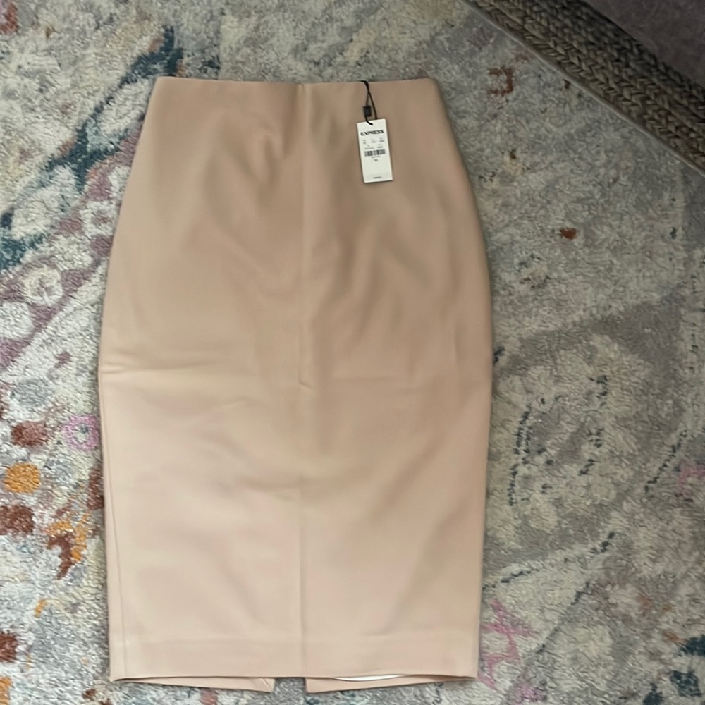 Express Pencil Skirt